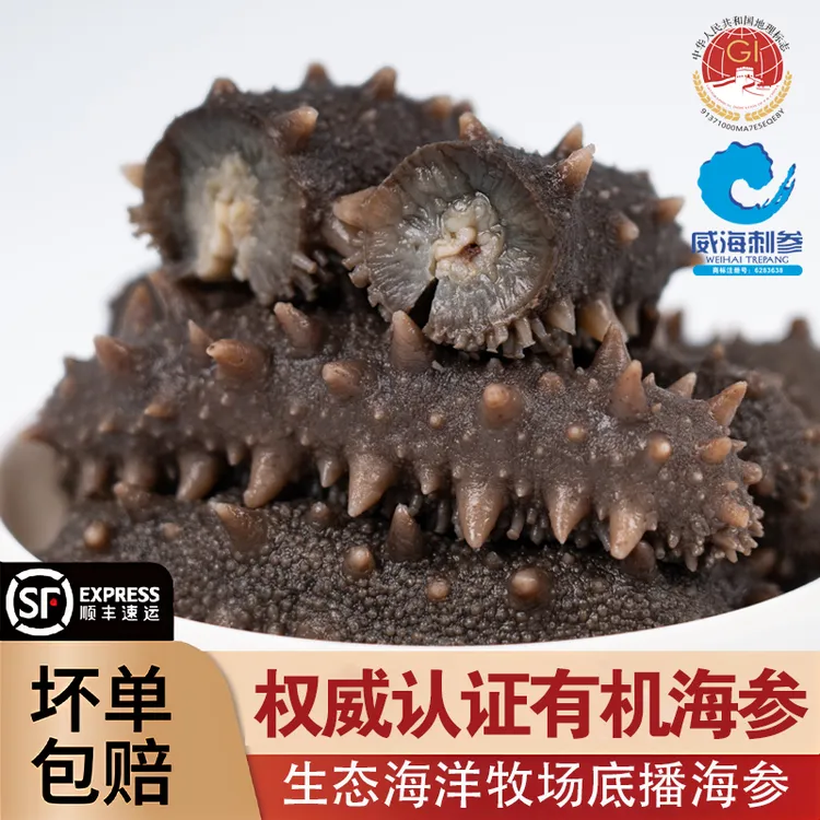 有机威海刺参 一斤10-12个头 到手三斤 鲜食海参健康滋补解冻即食