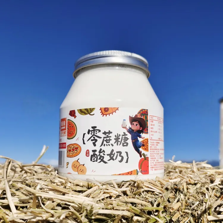 新疆风味原味酸奶 家庭装 两罐装 1kg×2