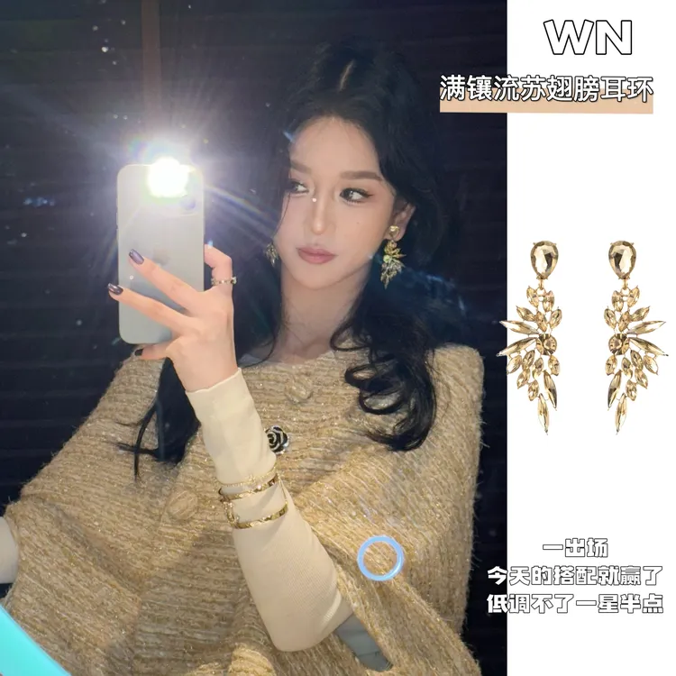 铜合金耳饰 鎏金羽翼~矜贵感满镶流苏翅膀耳环重工高级感贵气耳饰