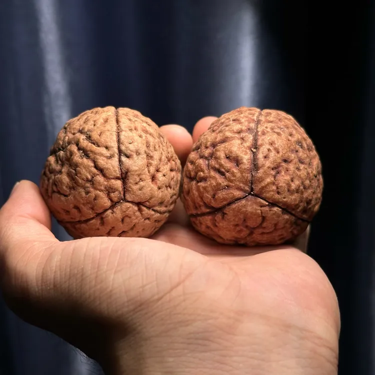 金刚菩提把件巴布亚新几内亚大金刚脑纹手球 尺寸可选