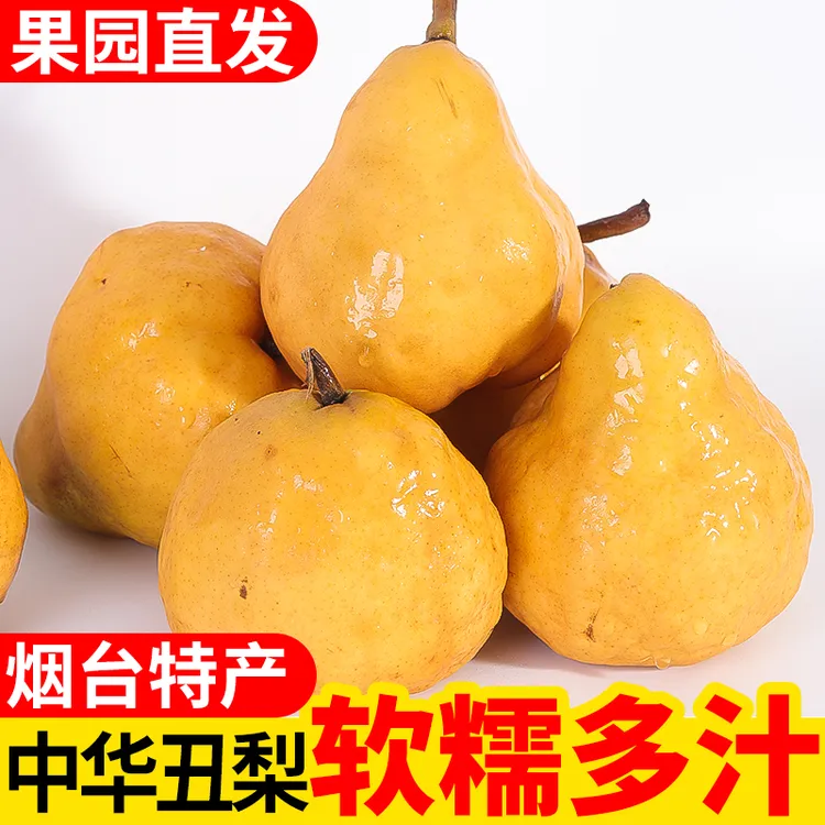 山东丑梨软糯多汁放软吃爆甜大个当季新鲜新果整箱批发包邮