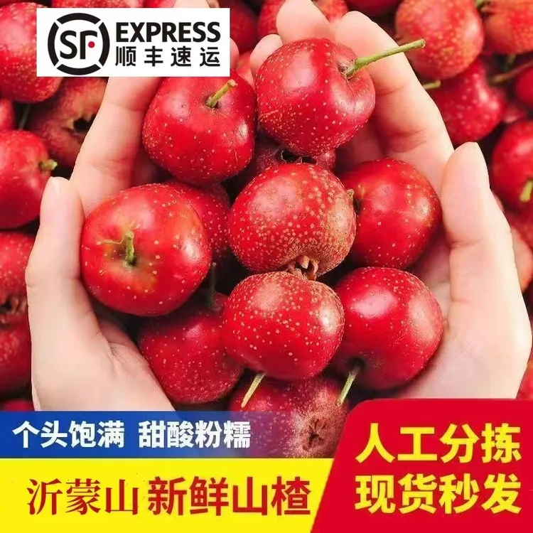 沂蒙山【顺丰】泡酒专用大金星山楂冰糖葫芦糖雪球专用整箱