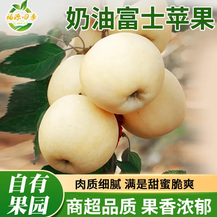 山东烟台黄金新鲜水果当季采摘冰糖心脆甜整箱批发