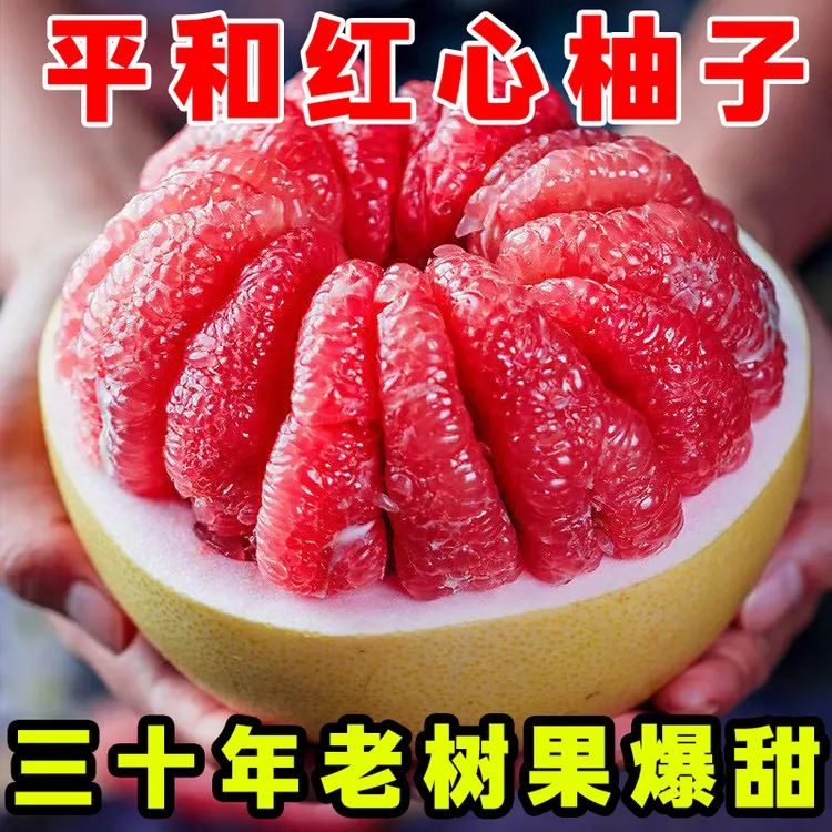 三十年老树果福建平和琯溪红心柚子新鲜应季水果皮薄鲜甜多汁