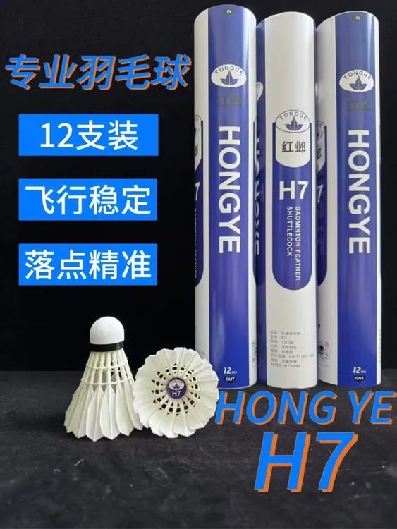 红邺H7豚鸭全园大方比赛场馆飞行训练羽毛球专用羽毛球拍羽毛球