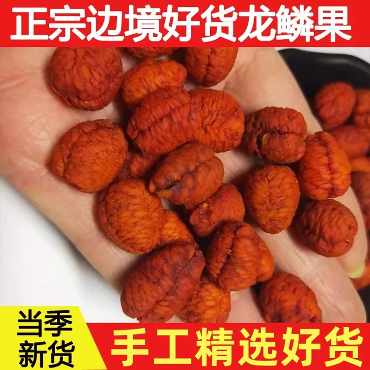 正宗龙鳞果新货精选高山好货可可西里龙鳞果参泡酒泡水无硫正品