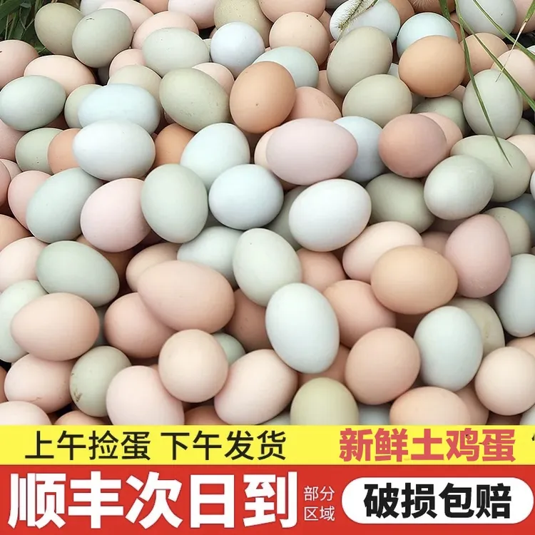 正宗农家散养土鸡蛋柴鸡蛋纯粮食蔬菜喂养玉米黄生态蛋40枚