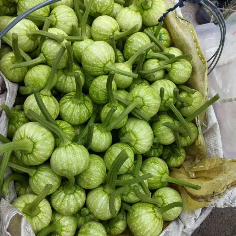 贵州农家现摘绿皮小南瓜脆嫩清甜农家菜农家自己种新鲜包邮