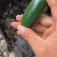 未镶嵌和田玉（糖玉）车挂