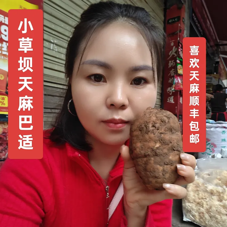 云南昭通小草坝乌天麻新鲜滋补煲汤戴篱发货新鲜天麻正宗