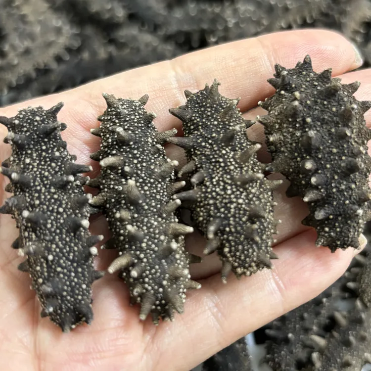 大连国标纯淡干高涨发