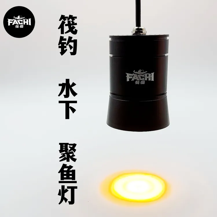 筏痴无极调光诱鱼灯水下水上两用聚鱼激光炮220转12v通用诱鱼灯