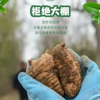 【新鲜天麻】云南昭通高山天麻小草坝炖鸡煲汤营养