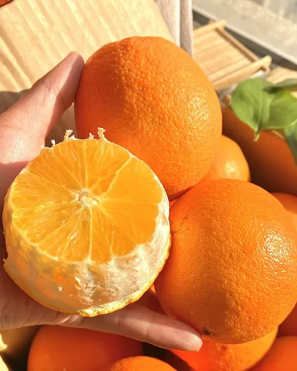 【20斤装】江西正宗赣南脐橙新鲜当季水果自家果园直发