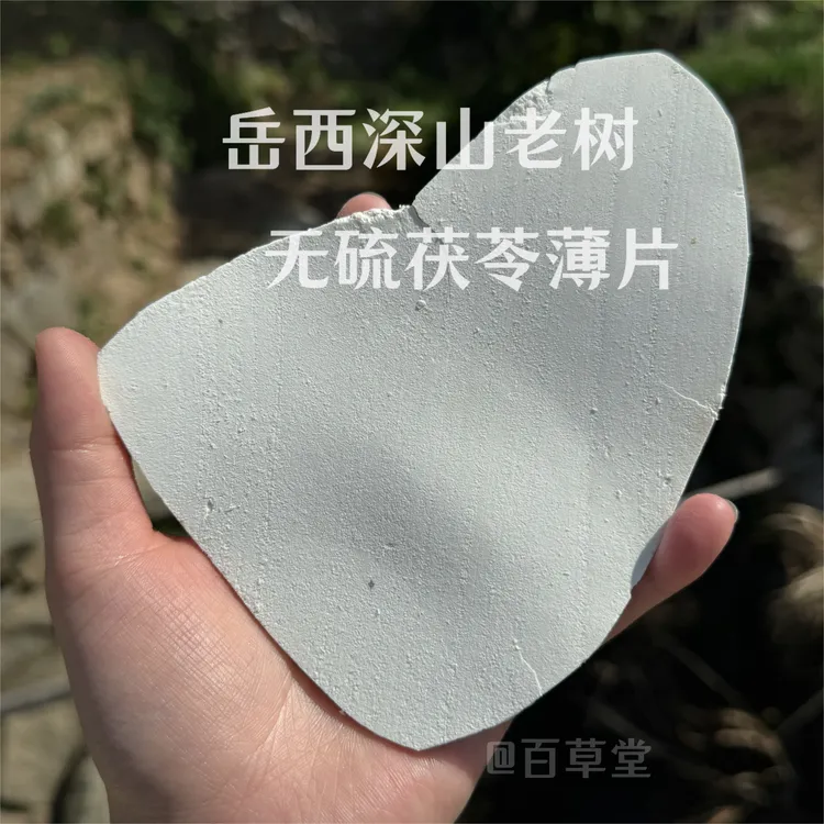 正宗岳西茯苓大薄片大别山茯苓生切生晒茯苓薄片色根色斑无硫精选