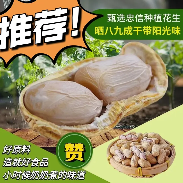 25年忠信农家水煮咸干花生软糯鲜香产地直发的休闲小零食好吃解馋