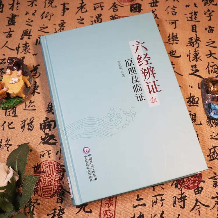 六经辨证原理及临证 殷晓明 六经生理病理与证治方法中医临床书籍