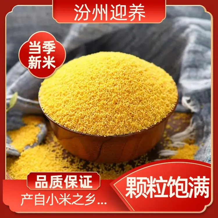 山西农家优质黄新货小米农家五谷杂粮营养健康月子米煮粥粗粮
