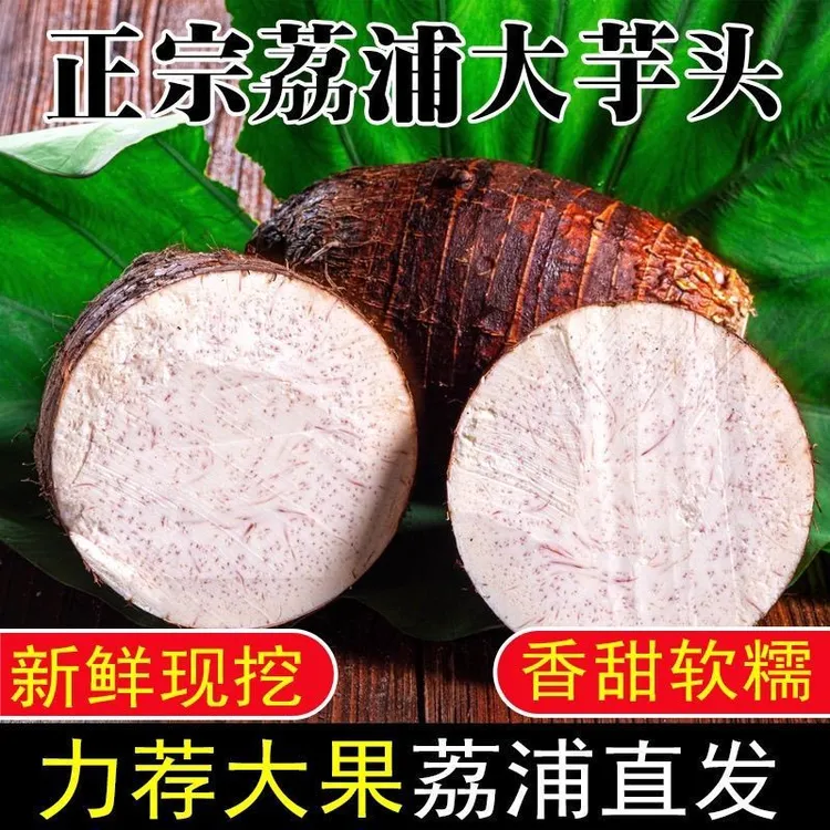 正宗荔浦芋头广西香芋新鲜采摘蔬菜软糯粉香糯3/5斤