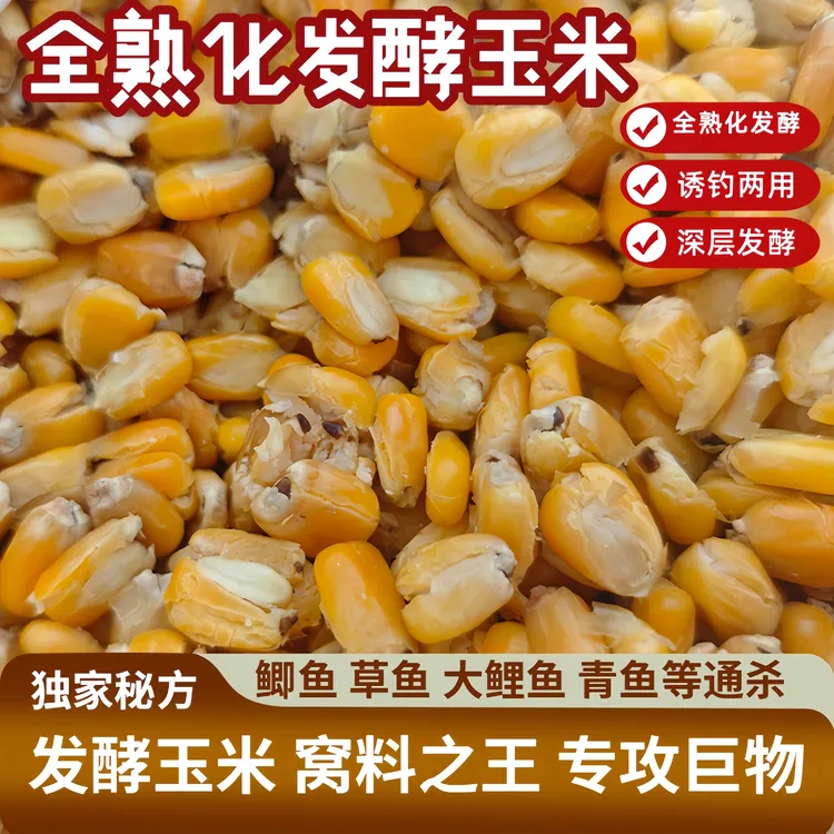 巨物窝料全熟化发酵玉米诱钓两用深层发酵玉米饵料未出酒草鱼饵料