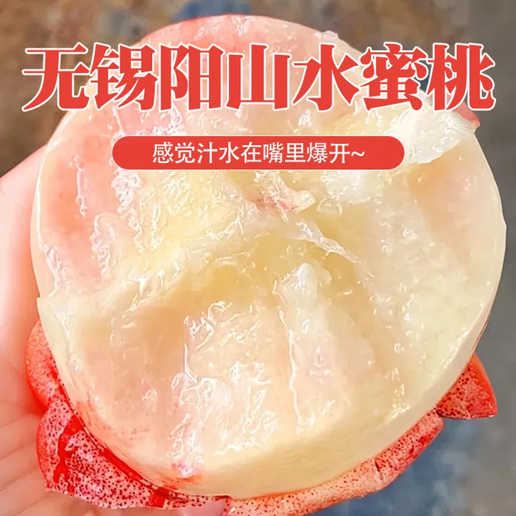 【坏果包赔】白凤阳山水蜜桃原箱14-15粒净重6.5-6.8斤放软吃