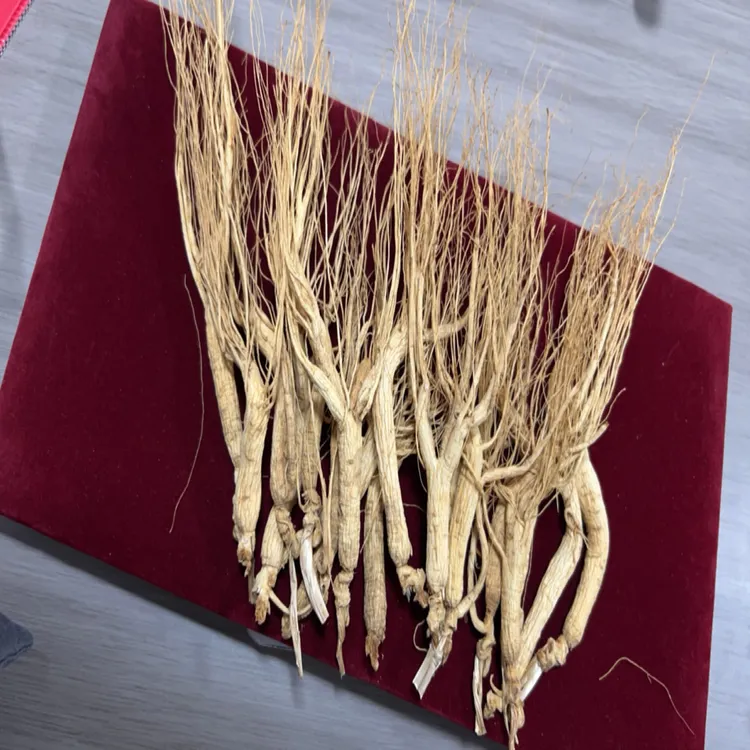 福利款 林下干人参 移山参