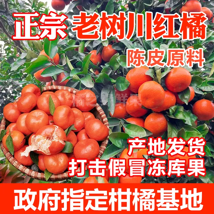 正宗重庆万州红橘酸甜古红桔皮薄多汁陈皮蜜橘子老树现摘新鲜水果