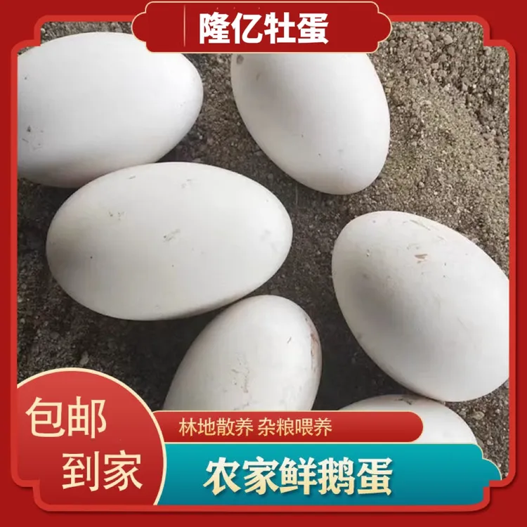 【新人尝试】6枚单黄鹅蛋保真礼盒包装破损包赔农家散养正宗