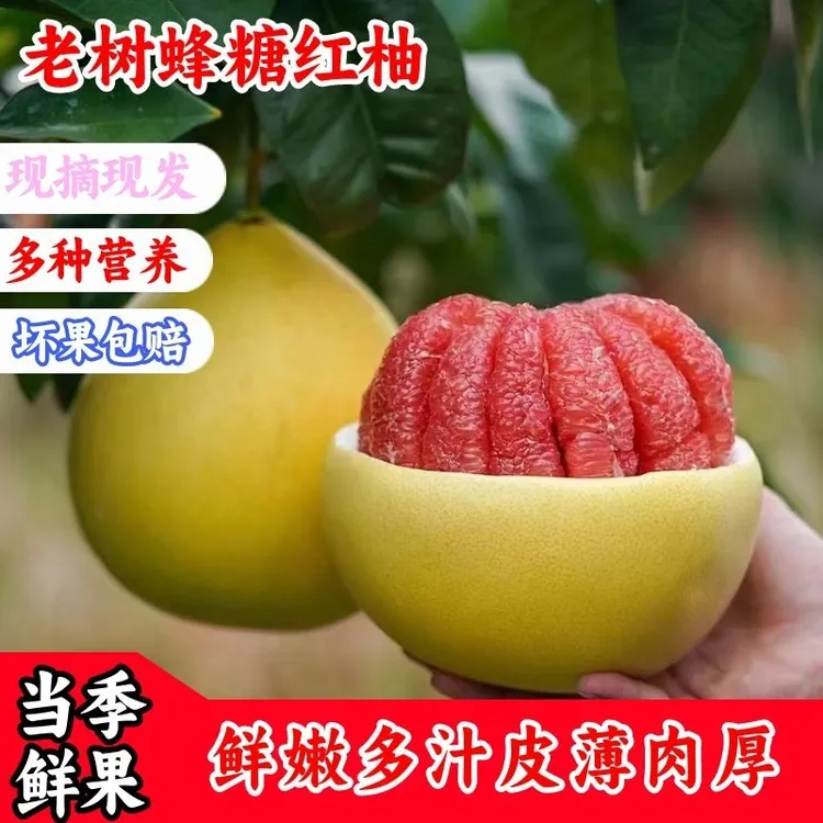 【正宗老树琯溪红心蜜柚】平和福建漳州新鲜采摘皮薄多汁坏果包赔rs
