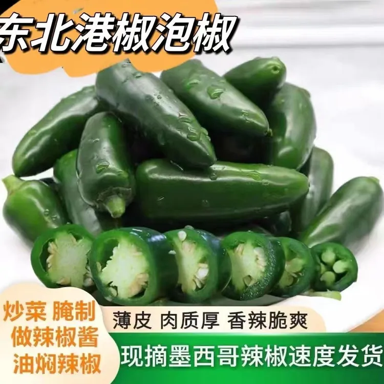 东北新鲜泡椒港椒辣椒厚肉脆嫩当季蔬菜特辣嘎嘎辣腌制辣椒咸菜