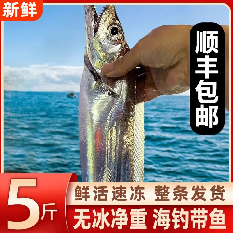 【顺丰包邮】正宗舟山带鱼东海黄海新鲜整条发货大带鱼海钓小眼带鱼