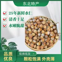 脱皮水仁大榛子净重3斤新鲜去绿皮东北特产 【25年新货】