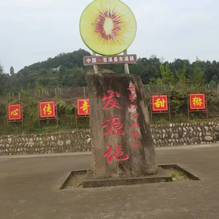 世界红心猕猴桃发源地生态有机红心猕猴桃预售（偏远地区运费另算）