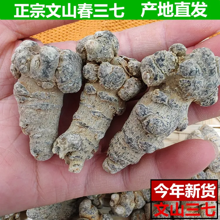 云南文山正品三七精选30头春三七正宗田七37西洋参