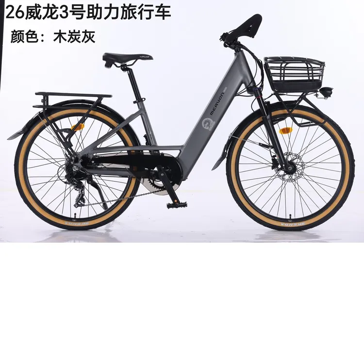 德国马丁26寸长途旅行自行车