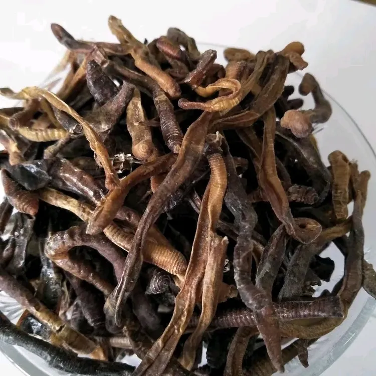 青蚯蚓干新鲜晒干未开肚腥味十足钓黄鳝泥鳅龙虾专用饵料