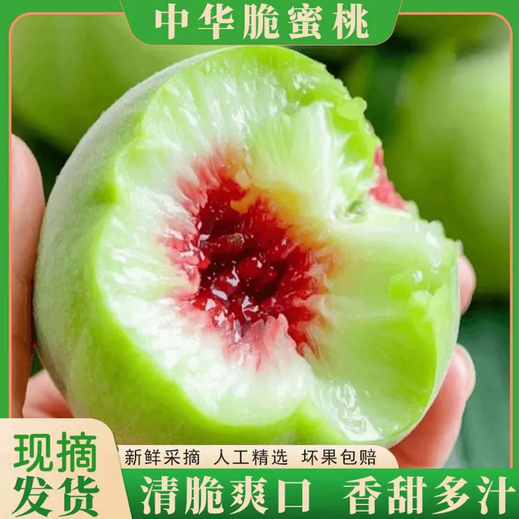 中华脆蜜桃新鲜应季水果白肉红心桃脆甜口现摘现发3斤