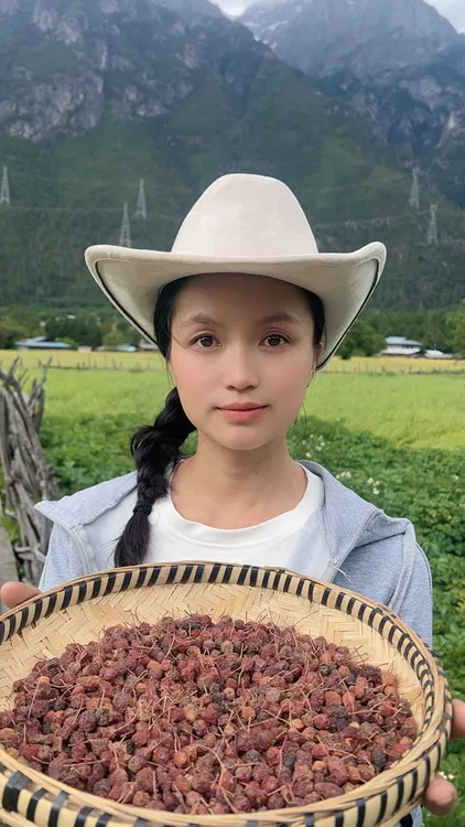 西藏高原野生小山楂