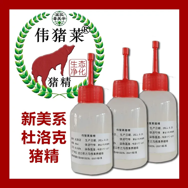 伟猪莱新美系商品级杜洛克猪精，现采快发80ml/瓶每批都非瘟检测