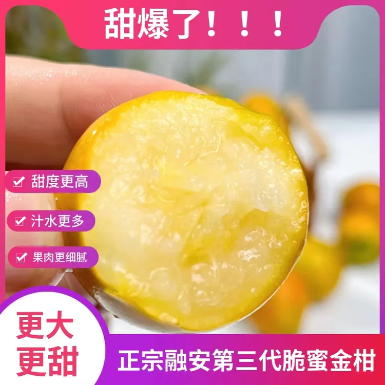 初鲜逸广西融安第三代脆蜜金柑纯甜不酸带箱2/4斤脆甜多汁应季
