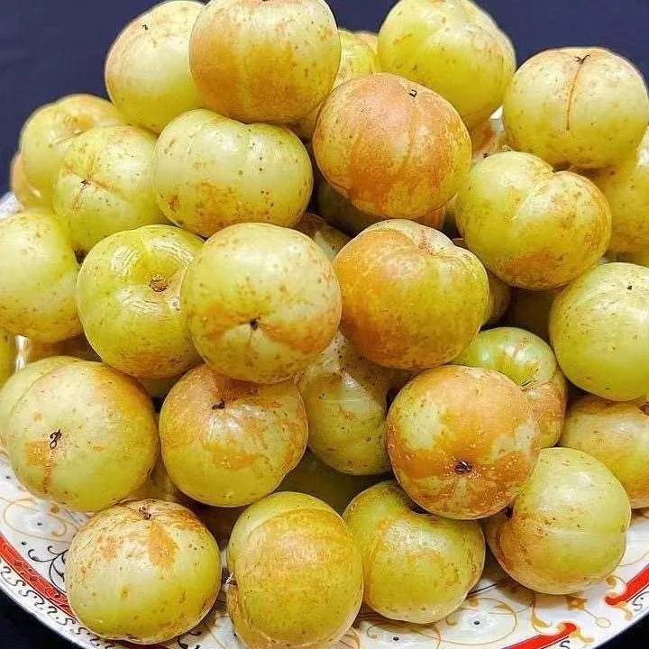 甜油甘余油甘滇橄榄油柑潮汕油甘柿饼油甘榨汁腌制泡酒生吃