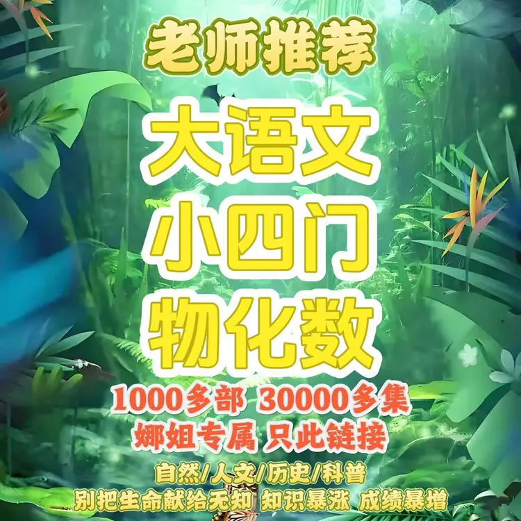 【老师推荐】高分小初高小四门纪录片早教逻辑训练思维教具