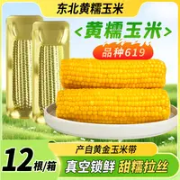 【25年头茬】黄糯玉米单根280克-350克整箱【7斤半-8斤】12根/2根试吃