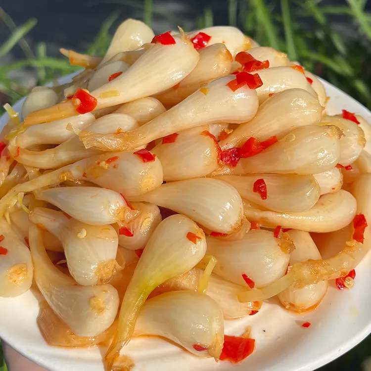 江西特色酸辣荞头藠头酸辣开胃下饭菜自然发酵的酸不齁咸不甜腻