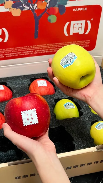 【秋岡】雪山瑞雪苹果新疆喀什青苹果当季新鲜水果细腻脆甜礼盒装