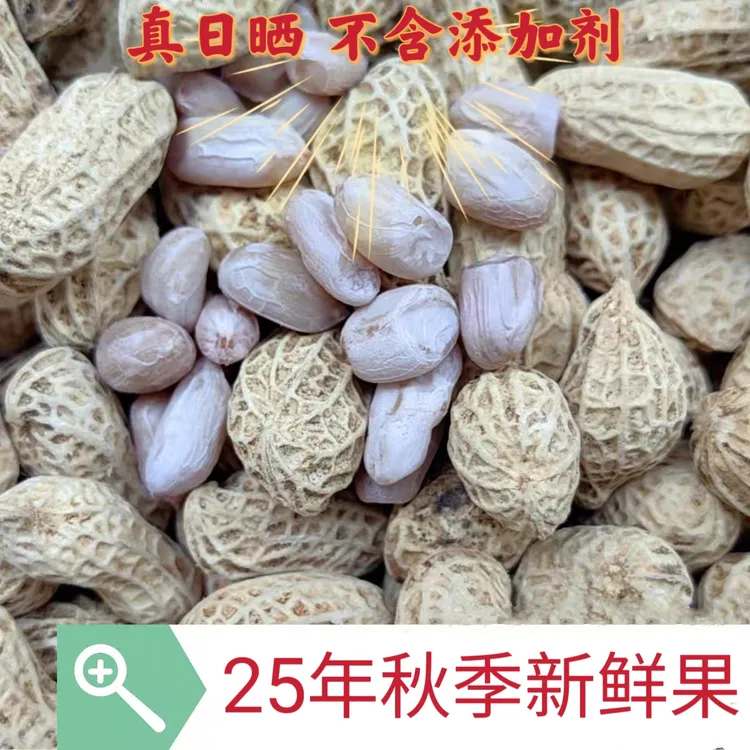 2025年秋季新货水煮花生不含添加剂农家特产原味坚果零食花生手工