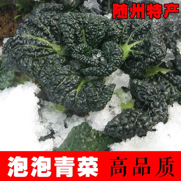 随州特产泡泡青 青菜黑菜 湖北泡泡菜 农家新鲜蔬菜