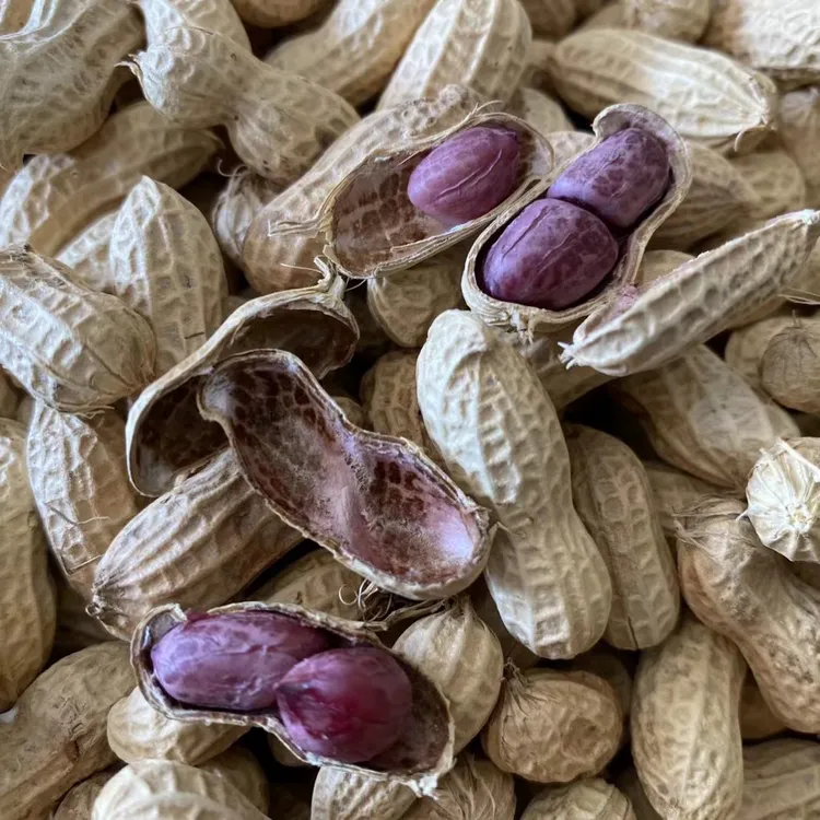水煮白晒花生多种口味带壳坚果炒货休闲零食