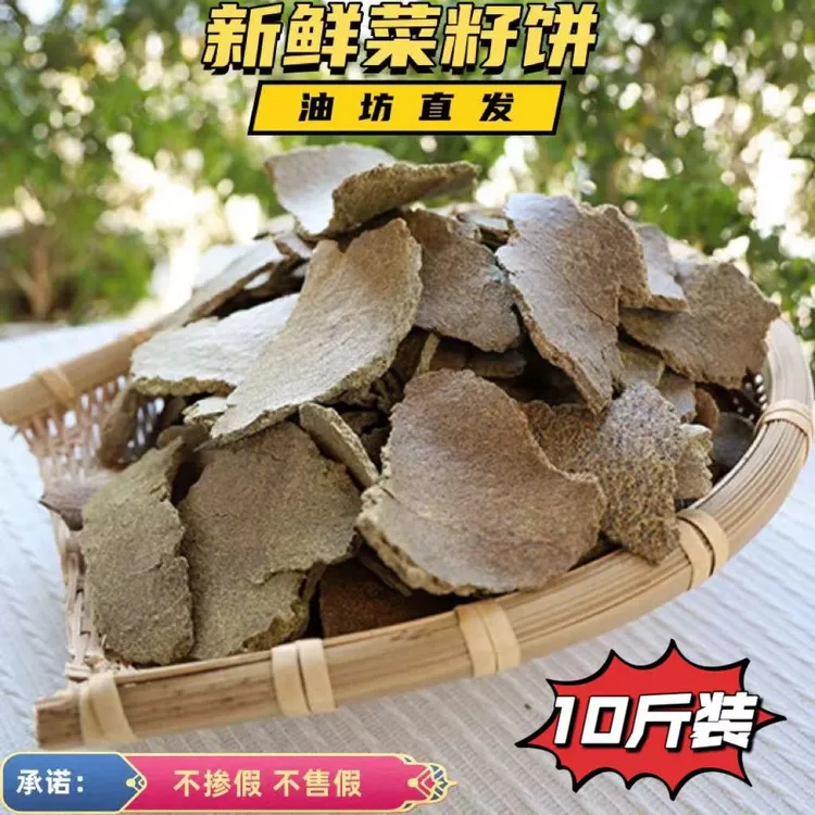 正宗新鲜现榨菜籽饼用于种花种菜及钓鱼打窝