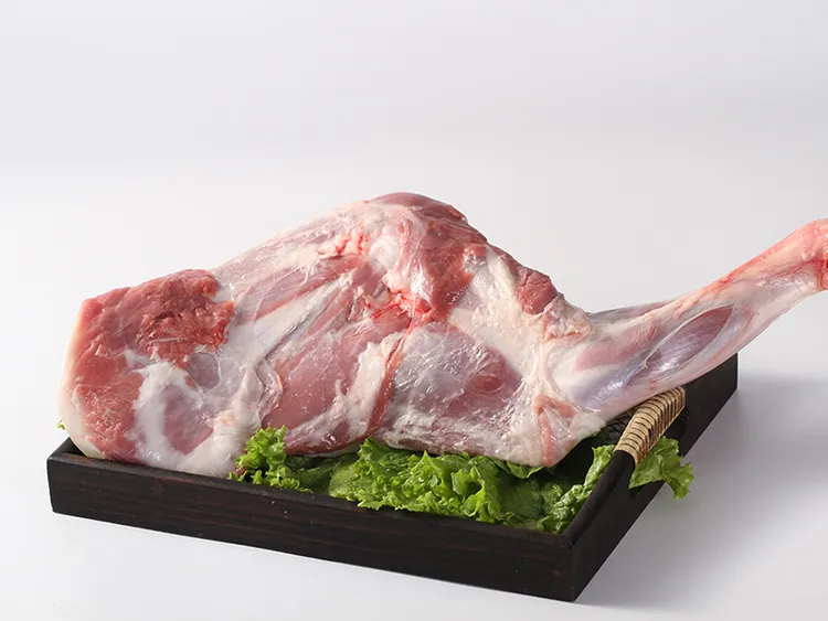 广河草膘羊去尾羊后腿